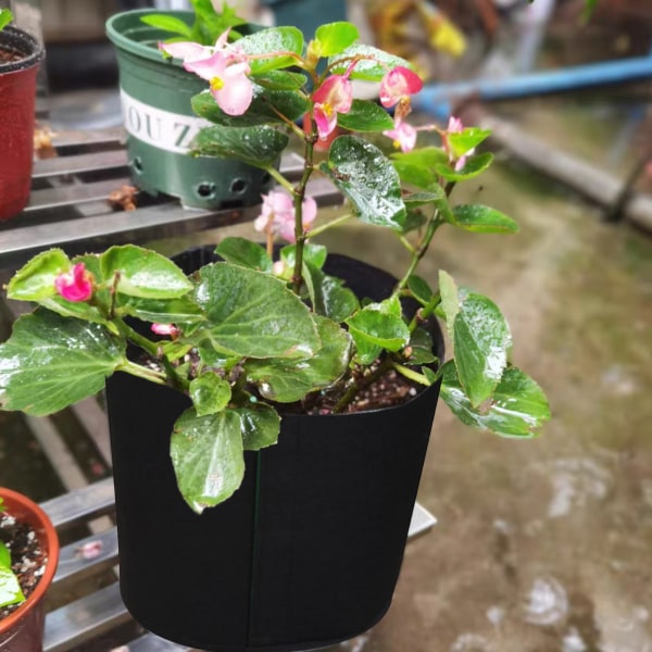 (opp bag emballasjestørrelse 23*25*2cm) transplantasjonspose plantevekstpose ikke-vevd filtpose plantevekstpose - svart 1 gallon diameter 16*høyde 20cm