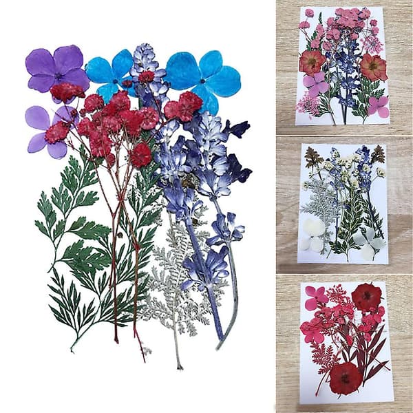 Presset blomst blandet tørrede blomster materiale til DIY aromaterapi stearinlys lykønskningskort epoxy håndværk Chrysanthemum Leaf Flower Package