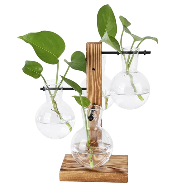Innovativ Hydroponisk Vase med Træstativ Transparent Bordblomstervase til Hjemmet
