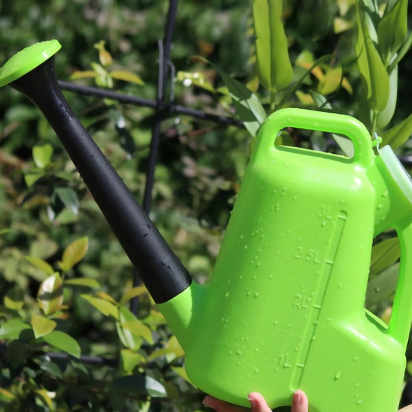 Vandkande Lang tud God forsegling 3L plastvandingsspand med låg til haveplante Blomst Grøn 3L