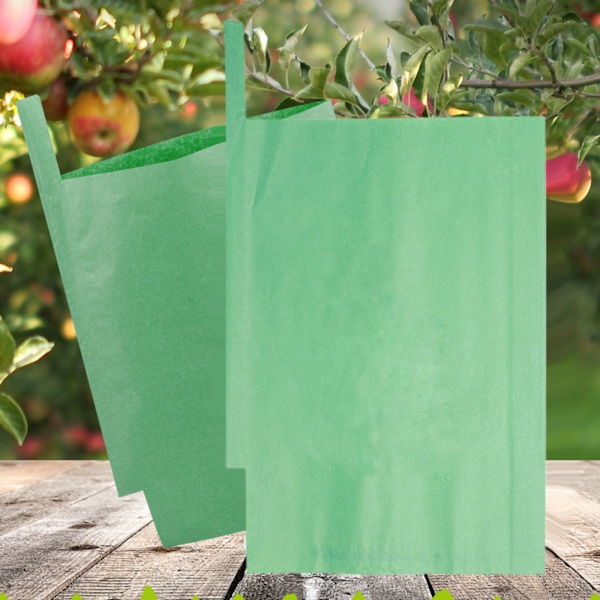(100 kpl, mitat: Vihreä Sunshine Rose 25*34cm) Puuvillan paperi hedelmien yleiskäyttöinen pussimateriaali: paperimassa (paketin koko: 40*14*3cm)
