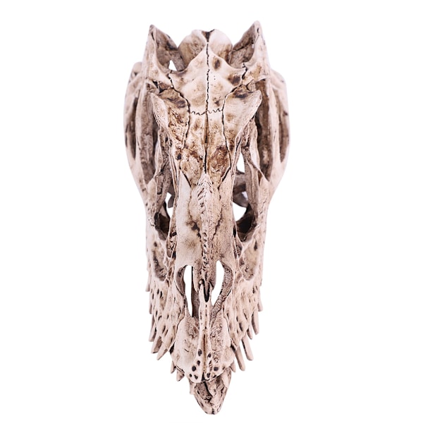 Resin Dinosaur Skull Model: Realistisk Dyreskelet til Hjem og Kontor Dekoration, Håndværk og Uddannelsesmæssig Visning