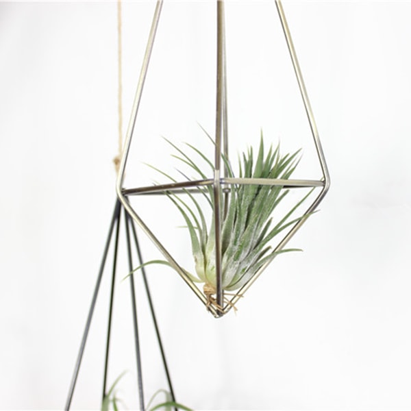 (Sort + kæde længde 17,5 cm) Luft ananas blomsterstand kan hænges med metal materiale.