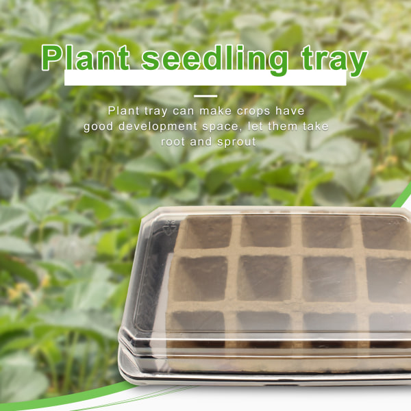 Tråg för plantor, produktstorlek 21,5x13,2x6,8cm, förpackningsstorlek 21,5x13,2x8,5cm