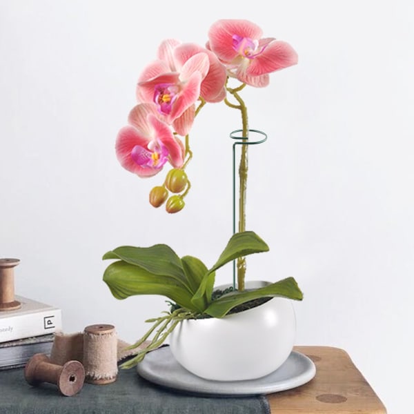 Blomsterstativ jernstøtte tråd have stativ fast pol plante støtte blomster søjle plante indsats, rustfrit stål (minimum parti af 20 pakker)