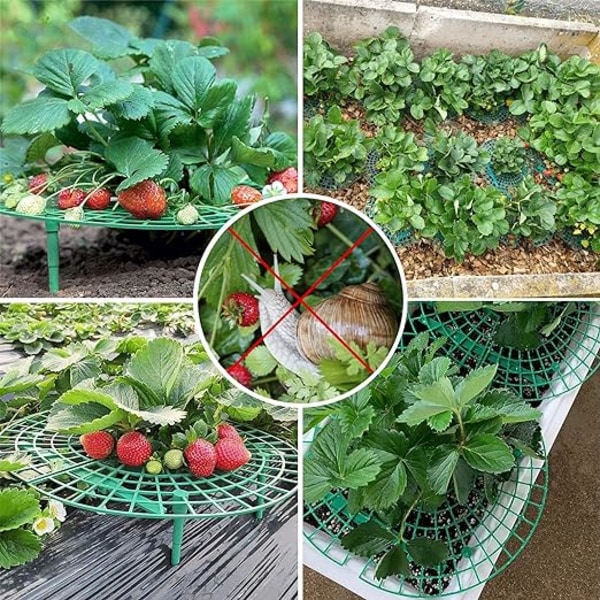 Strawberry Ram Set om 5 - Justerbar jordgubbshållare med 4 ben - Växtstöd - Snigelskydd - Skydd mot röta och mögel