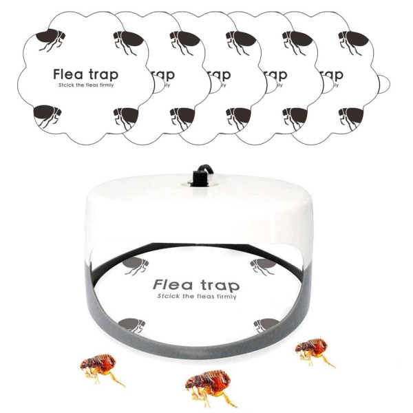 5 stk. Loppestikkfeller Klistremerker Sticky Fly Traps Gresskarformet Loppestikkfeller for Hjem Soverom