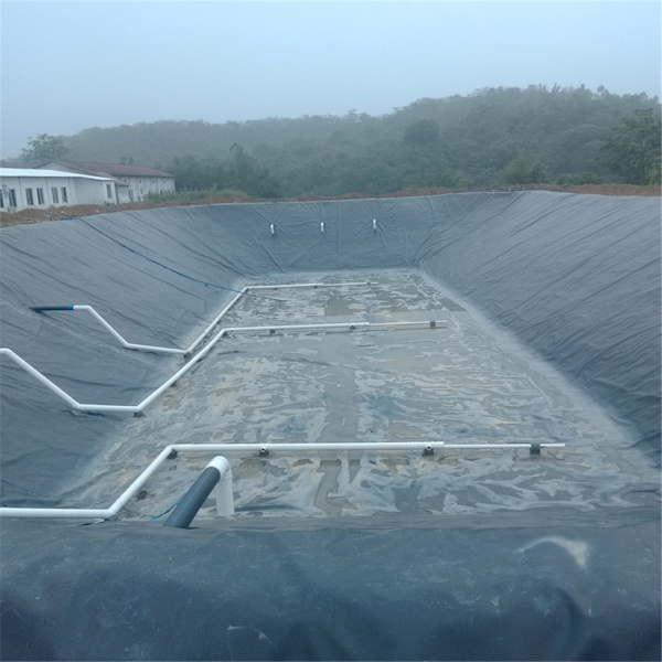 (3*3M) dammduk dammfolie trädgårdspoolsfolie fiskdamm pool lutningsskydd anti-läckagemembran HDPE-material