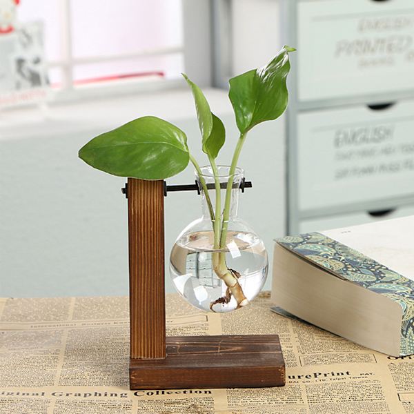 Enkel kreativ glasvas med träram, hydroponisk vas, grön dillplanta, transparent vas, skrivbordsdekoration typ A
