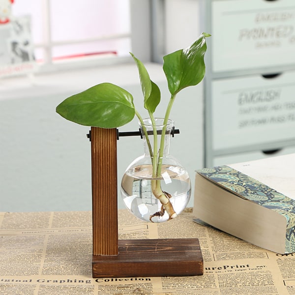 Enkel kreativ glasvase vase træramme hydroponisk vase grøn dild plante gennemsigtig vase desktop dekoration dekoration type A