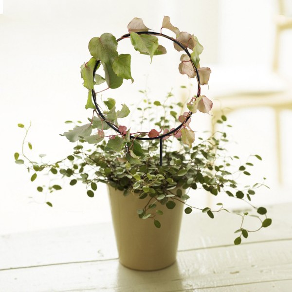 Plante støtte jern plante klatre ramme (Hjerteformet*23*33cm (Stålring diameter 2,8mm) Bemærk: Stålringen er tyndere)