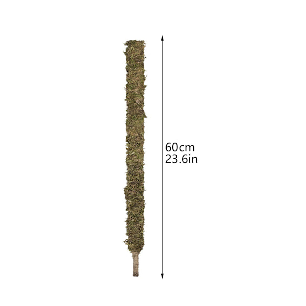 (1 förpackning) (Moss 120cm låda) Mosspåle DIY formad växtklätterstång klätterväxt böjbar formad pothos trädgårdspilar, mossa