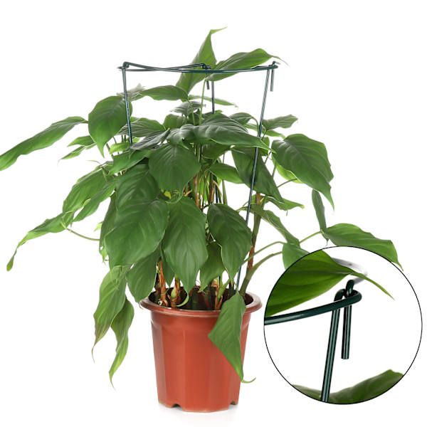 Ny multifunktionell böjd blommstöd grönsaksstöd växtstöd trädgårdsstöd hortensia blå snöflingestöd - grön höjd 55cm