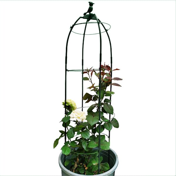 Rose-klematis-stativ, vindmølle, jasmin, vin, europæisk måneblomst-stativ, justerbar diameter og højde (80CM grøn)