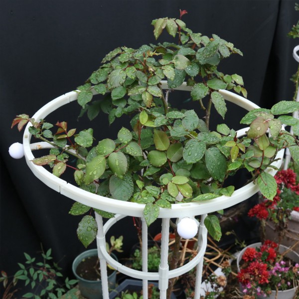 Enkeltsirkel paraplyblomststativ - hvit, høyde 125cm, sirkeldiameter 28cm