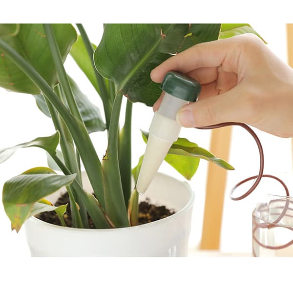 4-pack vit blomma krukväxt automatisk blomvattnare