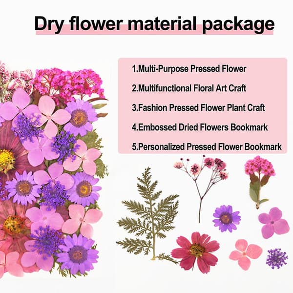 DIY Tørrede Blomster Materialesæt Mode Presset Blomster Plante Håndværk til Sæbefremstilling Combination pack 1
