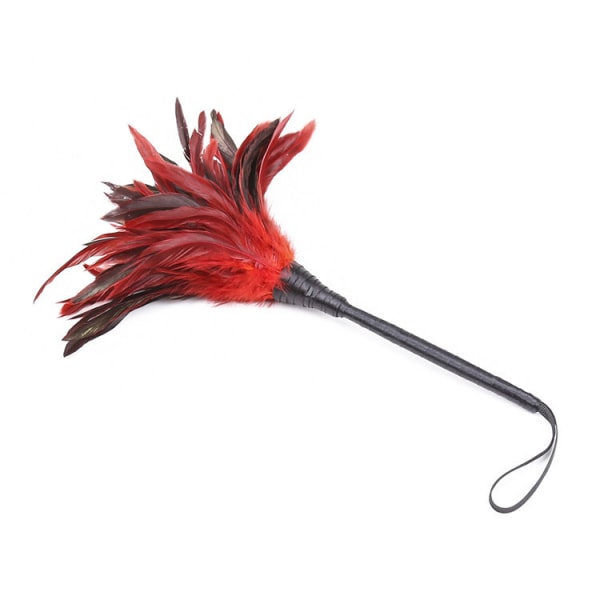 Feather Whip Rollespil Flirting Spanking