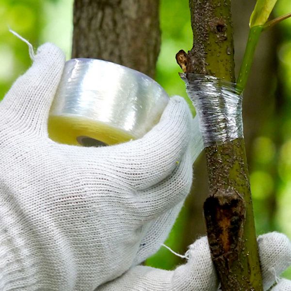 1/5 kpl Taimiensiirtoteippiä Itseliimautuva Kasvien Siirtoteippi Biohajoava Siirtokalvo