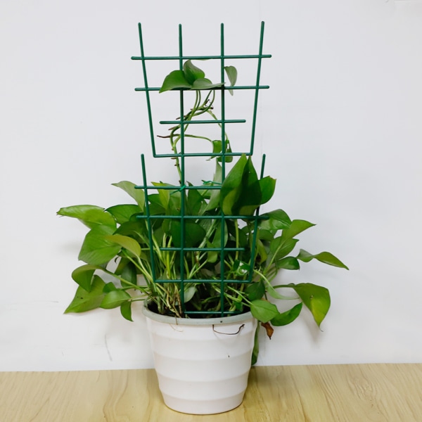 (6 stk blomsterstativ + 20 stk kabelbindere) plante klatrestativ blomsterstativ