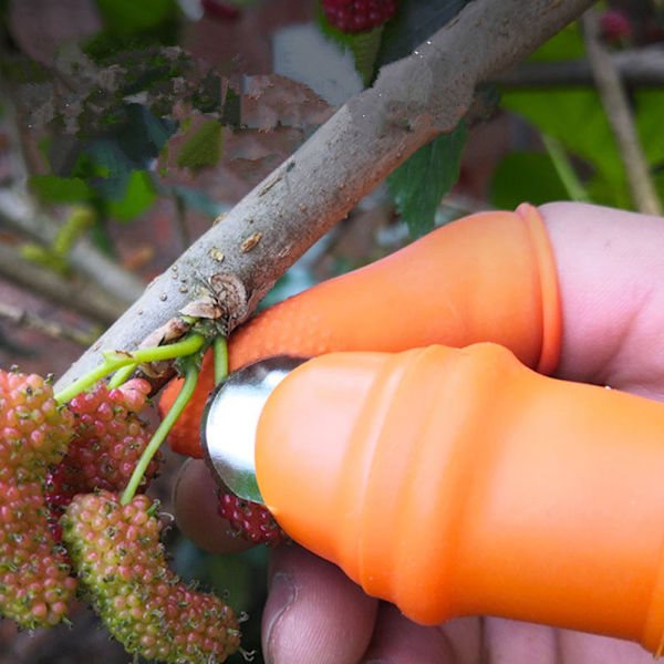 Plukk Tommelkutter Fingerhylse Sett Plukkeverktøy for Høsting Hageplante Frukt Grønnsak Plukker