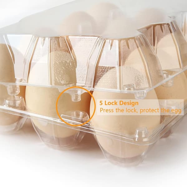 Bulk Plastic Egg Cartons, 100-Pack Empty Clear Plastic Egg Cartons Hold Up to 12 Eggs, Reusable Chicken Egg Holders