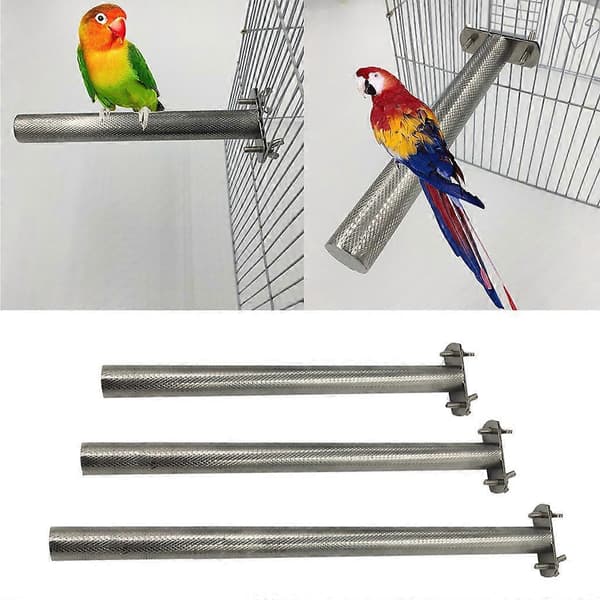 Fugle Pind Rustfrit Stål Stativ til Undulater Conures Budgies Dværgpapegøjer 25 cm lang