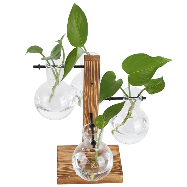 Innovativ hydroponisk vase med trestativ gjennomsiktig skrivebordsblomstvase for hjemmet