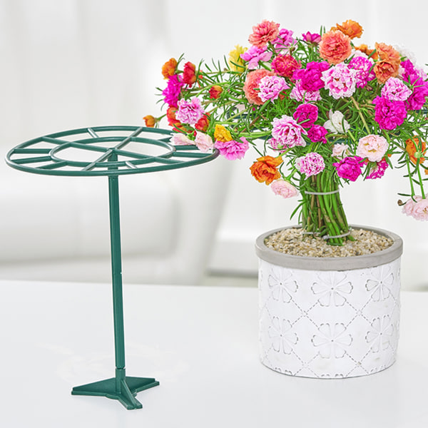 (1 stk pakkestørrelse: 24*20*2cm) Planteblomstestativ solblomstestativ