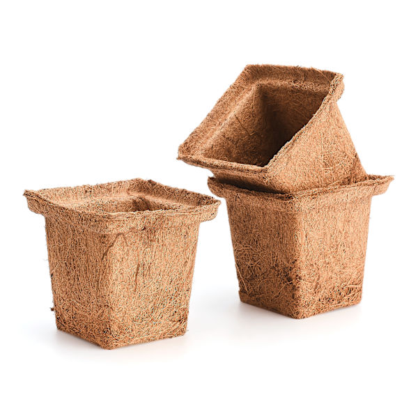 6 stk. pakke med kokosnøddespalme firkantede frøplantekopper - enkelt nedre diameter 6 cm øvre diameter 10 cm høj 9 cm