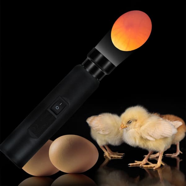LED Egg Candling Lampe Kylling Egg Tester Inkubator Lys US Plugg 100-240V