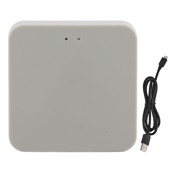 5V USB -kasteluportti Pihapuutarhan kasteluun Bluetooth WiFi -portti Zigbeelle