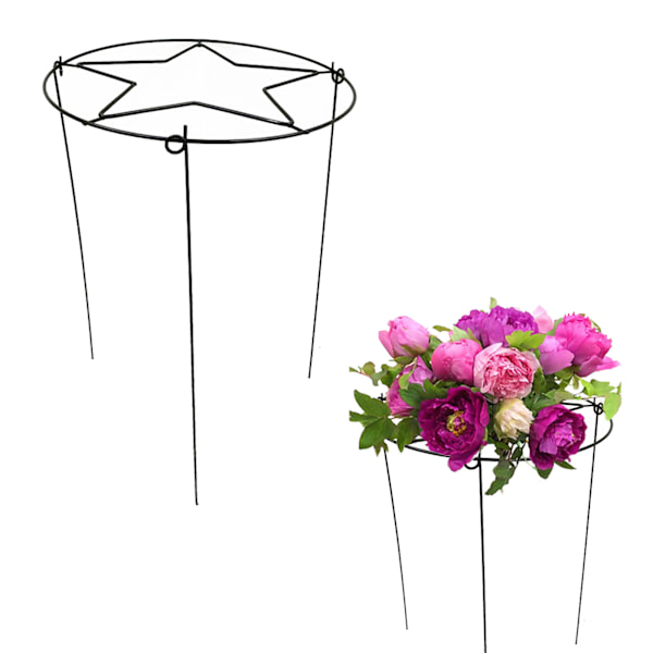 (1 pakkaus) Musta Puutarhan Kasviteline Puutarhan Kiipeilyteline Kukkateline Rauta Metalli Pioniteline Sisä- ja Ulkokäyttöön Kiinteä Tanko 30*45cm, Rauta Taide