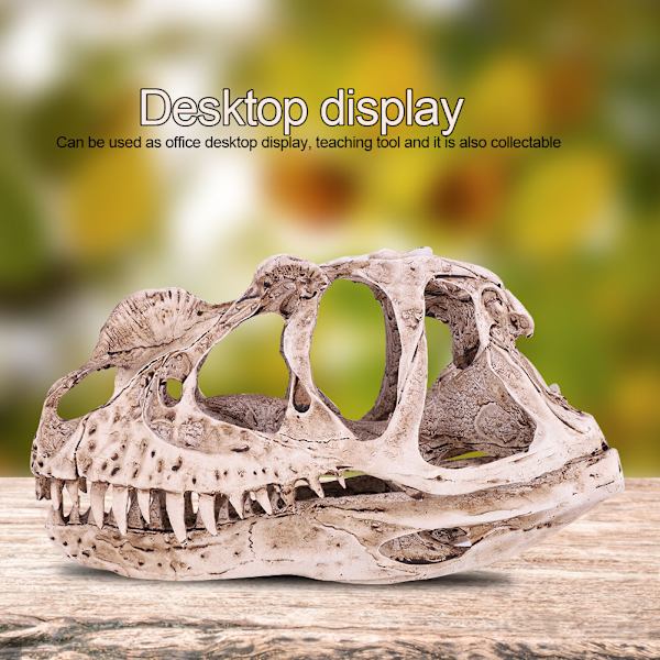 Resin Dinosaur Skull Model: Realistisk Dyreskelet til Hjem og Kontor Dekoration, Håndværk og Uddannelsesmæssig Visning