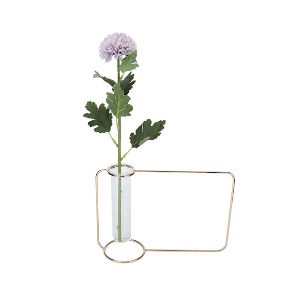Innovativ Hängande Växtkruka Testtube Transparent Hydroponisk Växtvas för Hemmet IndoorGold