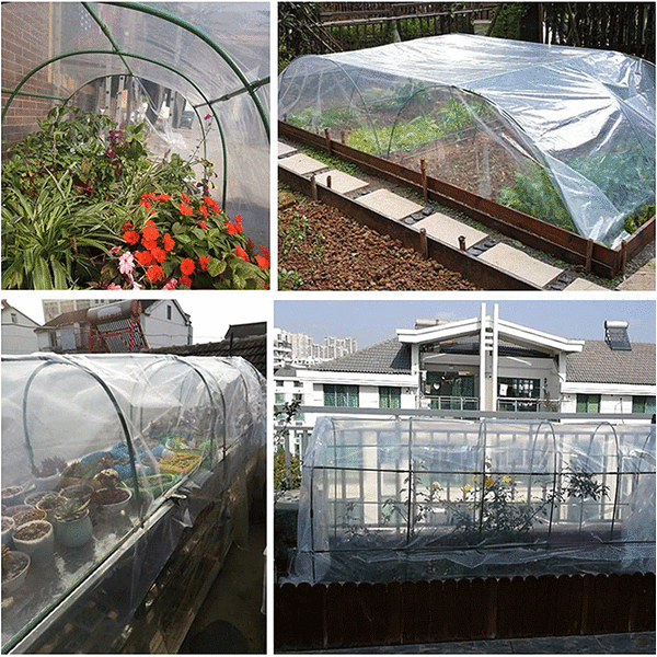 200cm * 600cm, 0,08mm paksua läpinäkyvää kasvien pakkasnestekalvoa käytetään puutarhakasvien pakkasnesteeseen ja vedenpitävään päällysteeseen, ikkunatiivistekalvoon, vihreään