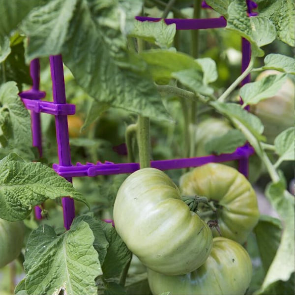 Ny tomatpelare tomatplanteringsställ gurka luffa peppar aubergine planteringsställ klätterställning växtstödssats lila 2-lagers höjd ca 81CM