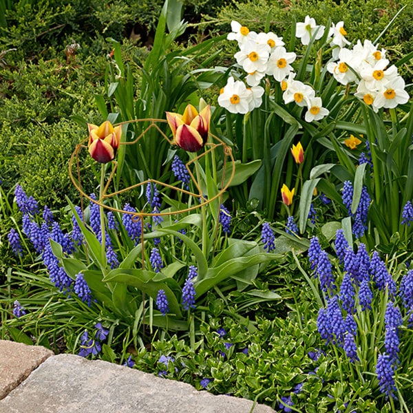 Havehave plantestativ klatrestativ blomsterstativ jern metal jordbærstativ indendørs og udendørs fast stang sort