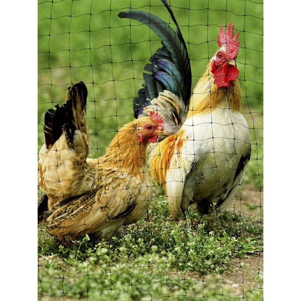 Hagenett og gjerde mot fugler og hjort Fuglenett Netting 4,2 meter lang og 4,2 meter bred (hull 1,2 cm tykk 12g/m2. Inkluderer 50 stk kabelbindere)