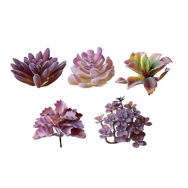 5 stk. Simulering av sukkulent blomst