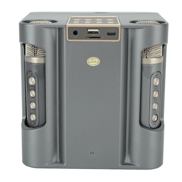 YS213 Sångmaskin Bärbar Sånghögtalare Svart Lätt Vikt Ljud Stereo Högtalare Mikrofonset för Hemmöte Fest