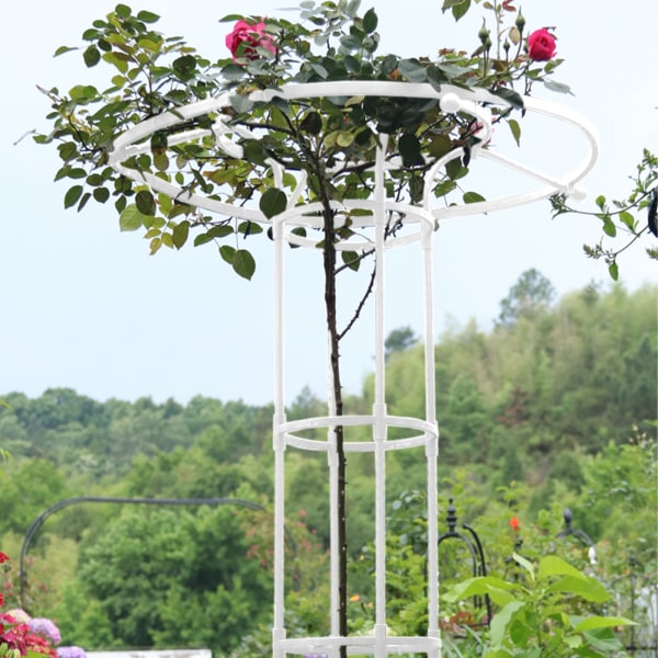 Samlet paraplyformet blomsterstand og pergola - hvid, total højde 210 cm, diameter 25 cm