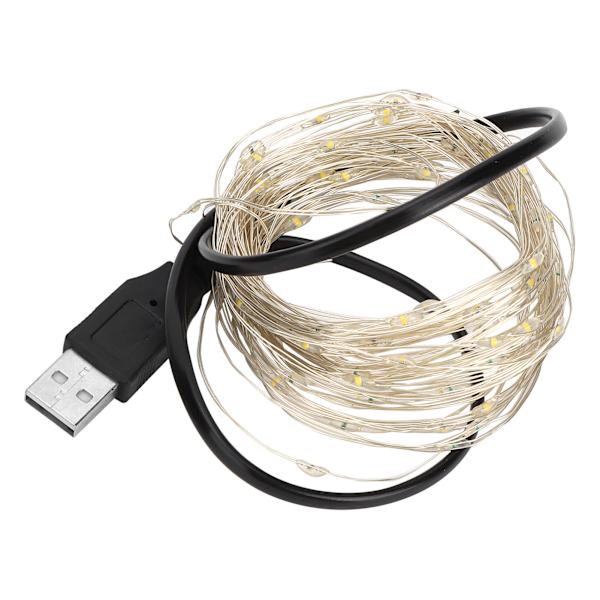 32,8 fot USB-drivna LED-koppartrådsljus för Halloween & Hemfester - Vit Dekorativ Belysning