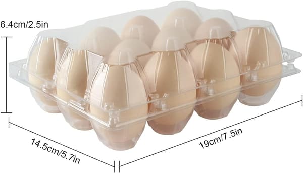 Bulk Plastic Egg Cartons, 100-Pack Empty Clear Plastic Egg Cartons Hold Up to 12 Eggs, Reusable Chicken Egg Holders