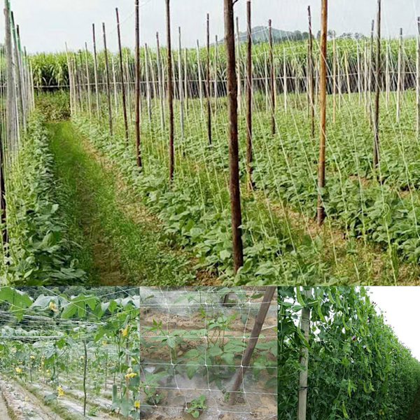 1,5x100m Havegitter til Planter, Klatreunderstøttelse, Haveplantningsværktøj, Plantevækstnet