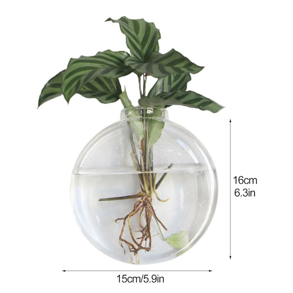 Pyöreä kakku suuri riippuva hydroponinen lasivaasi/15*16cm/(10*20*20, 320)