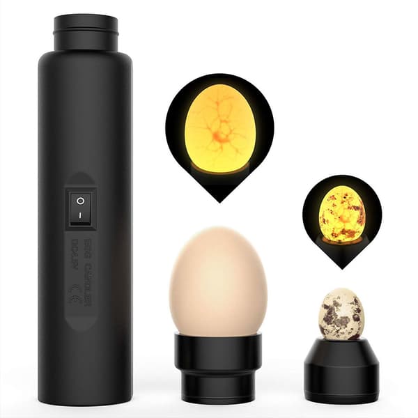 LED Egg Candling Lampe Kylling Egg Tester Inkubator Lys US Plugg 100-240V