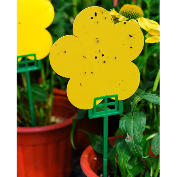 (Blomformad 12-delad set) Ny blomformad dubbelsidig insektsfällbräda (Foto: Uppgraderad blomformad 1 låda med 12 stycken med fäste)