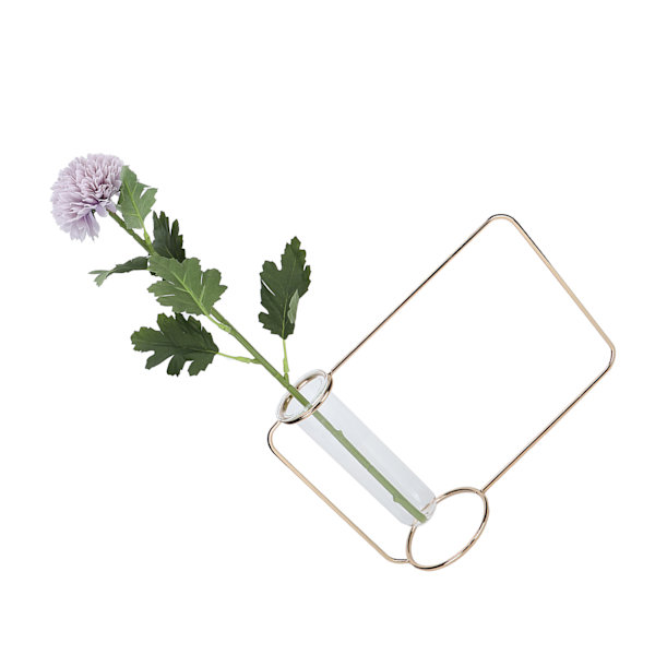 Innovativ Hängande Växtkruka Testtube Transparent Hydroponisk Växtvas för Hemmet IndoorGold