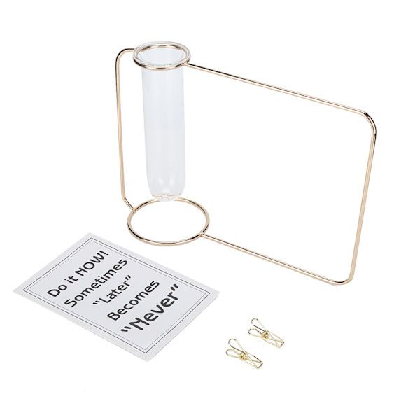 Innovativ Hängande Växtkruka Testtube Transparent Hydroponisk Växtvas för Hemmet IndoorGold